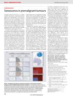 Senescence in premalignant tumours