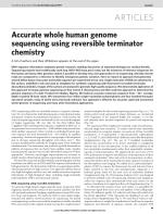 Accurate whole human genome sequencing using reversible terminator chemistry