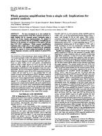 Whole genome amplification from a single cell: Implications for genetic analysis