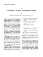Cell Damage in the Brain: A Speculative Synthesis