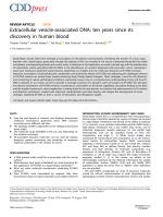 Extracellular vesicle-associated DNA: ten years since its discovery in human blood