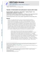 Transfer of mitochondria from astrocytes to neurons after stroke