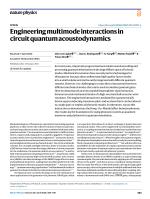 Engineering multimode interactions in circuit quantum acoustodynamics