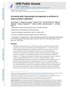 Increasing adult hippocampal neurogenesis is sufficient to improve pattern separation