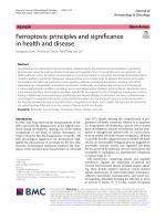 Ferroptosis: principles and significance in health and disease