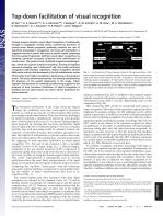 Top-down facilitation of visual recognition