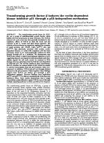Transforming growth factor β induces the cyclin-dependent kinase inhibitor p21 through a p53-independent mechanism