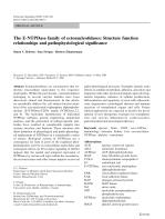 The E-NTPDase family of ectonucleotidases: Structure function relationships and pathophysiological significance