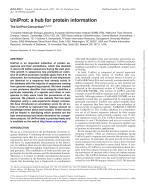 UniProt: a hub for protein information
