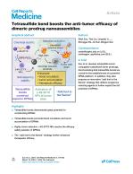 Tetrasulfide bond boosts the anti-tumor efficacy of dimeric prodrug nanoassemblies