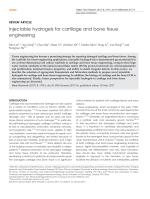 Injectable hydrogels for cartilage and bone tissue engineering