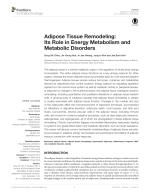 Adipose Tissue Remodeling: Its Role in Energy Metabolism and Metabolic Disorders