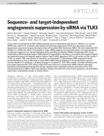 Sequence- and target-independent angiogenesis suppression by siRNA via TLR3