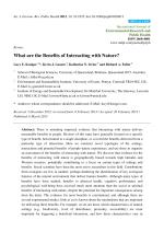 What are the Benefits of Interacting with Nature?