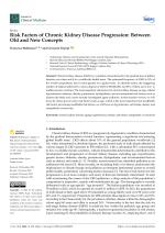 Risk Factors of Chronic Kidney Disease Progression: Between Old and New Concepts