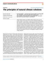 The principles of natural climate solutions