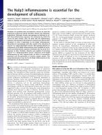 The Nalp3 inflammasome is essential for the development of silicosis