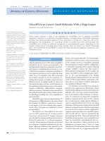MicroRNAs in Cancer: Small Molecules With a Huge Impact