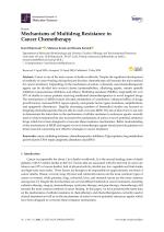 Mechanisms of Multidrug Resistance in Cancer Chemotherapy