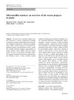 Microsatellite markers: an overview of the recent progress in plants