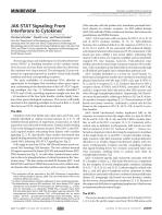 JAK-STAT Signaling: From Interferons to Cytokines