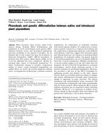 Phenotypic and genetic differentiation between native and introduced plant populations