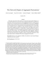 The Network Origins of Aggregate Fluctuations
