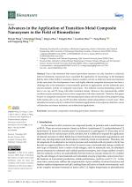 Advances in the Application of Transition-Metal Composite Nanozymes in the Field of Biomedicine