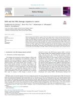 ROS and the DNA damage response in cancer