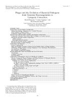 Phages and the Evolution of Bacterial Pathogens: from Genomic Rearrangements to Lysogenic Conversion