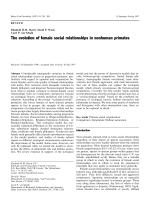 The evolution of female social relationships in nonhuman primates
