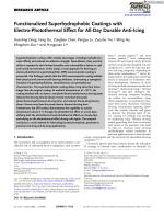 Functionalized Superhydrophobic Coatings with Electro-Photothermal Effect for All-Day Durable Anti-Icing