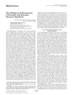 The Multifaceted Mechanisms of Estradiol and Estrogen Receptor Signaling