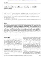 Lentivirus-delivered stable gene silencing by RNAi in primary cells