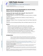 IDENTIFICATION OF ERYTHROFERRONE AS AN ERYTHROID REGULATOR OF IRON METABOLISM