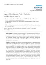 Impact of Heat Stress on Poultry Production