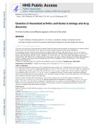 Genetics of rheumatoid arthritis contributes to biology and drug discovery