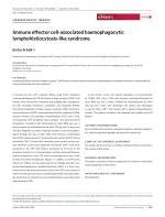 Immune effector cell-associated haemophagocytic lymphohistiocytosis-like syndrome