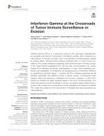 Interferon-Gamma at the Crossroads of Tumor Immune Surveillance or Evasion