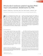 Mitochondrial membrane potential regulates PINK1 import and proteolytic destabilization by PARL