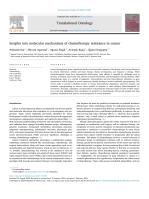 Insights into molecular mechanisms of chemotherapy resistance in cancer