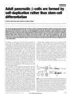 Adult pancreatic β-cells are formed by self-duplication rather than stem-cell differentiation