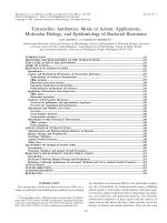 Tetracycline Antibiotics: Mode of Action, Applications, Molecular Biology, and Epidemiology of Bacterial Resistance