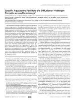 Specific Aquaporins Facilitate the Diffusion of Hydrogen Peroxide across Membranes