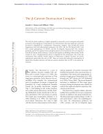 The β-Catenin Destruction Complex