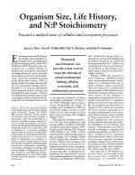 Organism Size, Life History, and N:P Stoichiometry: Toward a unified view of cellular and ecosystem processes