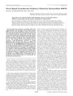 Novel Signal Transduction Pathway Utilized by Extracellular HSP70 ROLE OF Toll-LIKE RECEPTOR (TLR) 2 AND TLR4