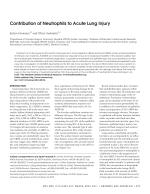 Contribution of Neutrophils to Acute Lung Injury