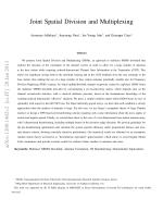 Joint Spatial Division and Multiplexing