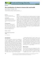 The contribution of wheat to human diet and health